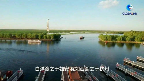 大美白洋淀 環境檢測服務助力生態保護
