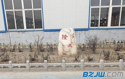 定型錨栓 金屬門窗工程的堅固基石