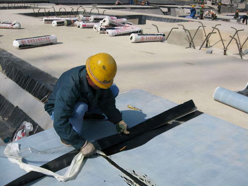 tpo pvc單層高分子防水卷材的優勢,一定有你不知道的